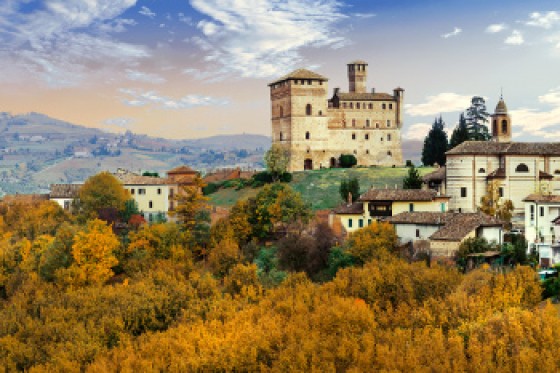 Castles Tour -Turin and Langhe